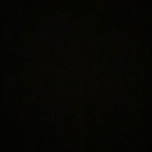 Meet your Posher, Ellison